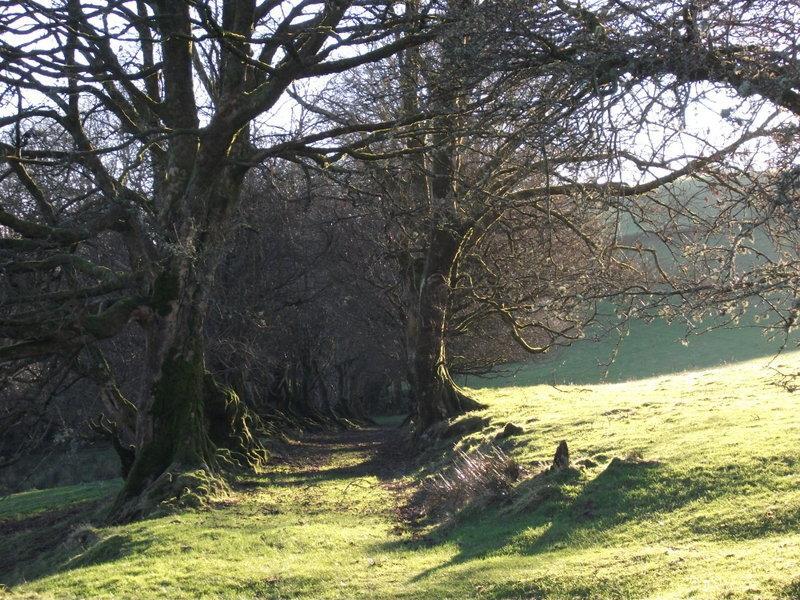 Swallow Barn Llanwrtyd Wells Zimmer foto